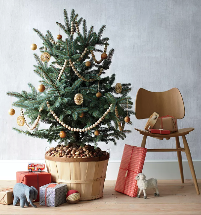 How to Keep Your Christmas Tree Fresh for the Entire Month of December (Martha Stewart)